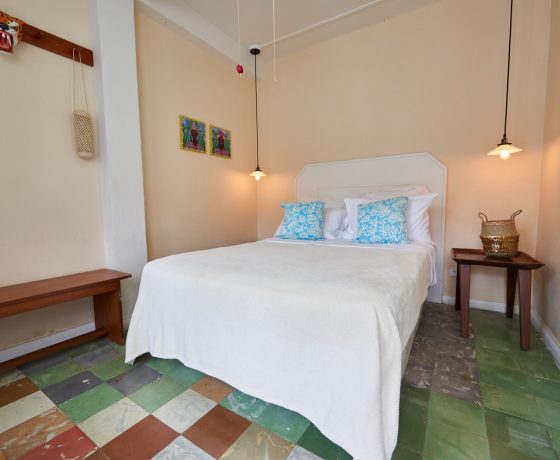 Verde selva - Casa de la Cultura Congo